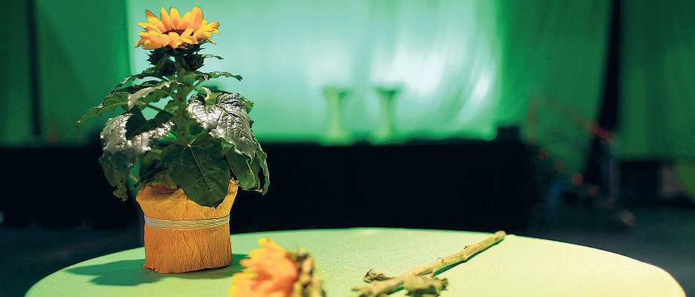 Den Grünen in Mecklenburg-Vorpommern droht im kommenden Jahr eine Wahlschlappe.