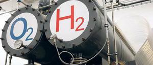 Wind zu Wasserstoff. Im Hybridkraftwerk in Prenzlau (Uckermark) werden Brennstoffzellen mit Windkraft geladen. Mit ihrer Energie kann man etwa Autos grün betanken. Die lokale Firma Enertrag verkaufte so ein Kraftwerk nun nach Frankreich.