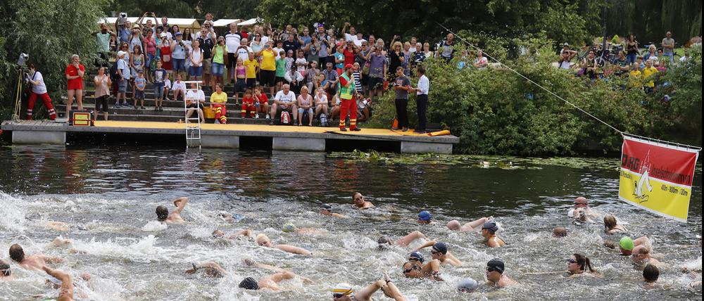 Seit mehr als 20 Jahren findet das Inselschwimmen um die Freundschaftsinsel in Potsdam statt.