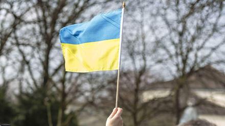 Die Flagge der Ukraine könnte bald auch in Pankow gehisst werden.