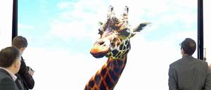 Die Nutzungsdauer von Flachbildschirmen ist etwa halb so lang wie die von Röhrenfernsehern. Und das wohl nicht, weil sie schneller kaputt gehen. Das Foto zeigt Messebesucher bei der IFA in Berlin. 