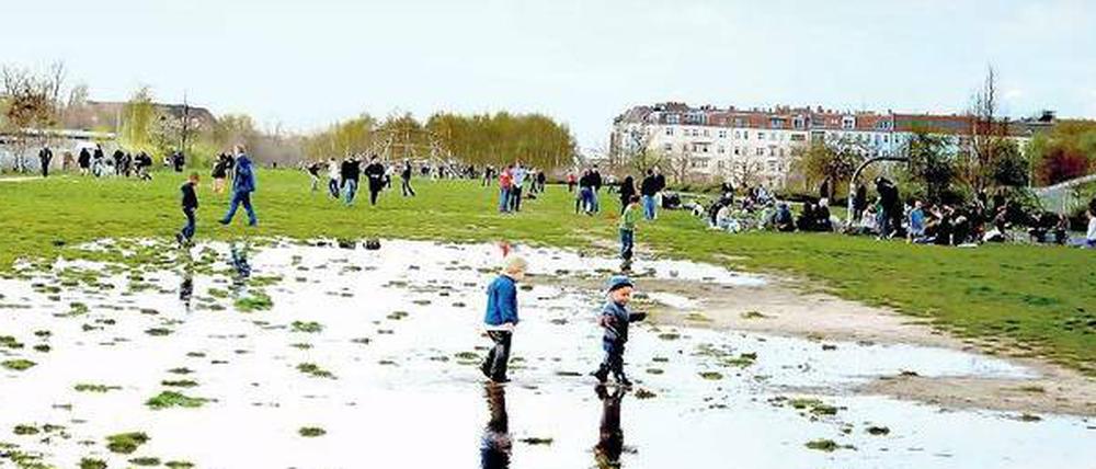 Wie Teile des Mauerparks künftig bebaut werden sollen, dürfen die Anwohner nicht mehr mitbestimmen.