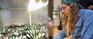 Legal. Im US-Bundesstaat Washington kann Marihuana unter bestimmten Auflagen gekauft werden.