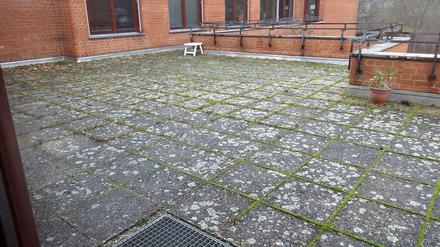Das größte Problem der Peter-Frankenfeld-Schule: die marode Dachterrasse. Durch sie dringt immer wieder Feuchtigkeit ein, was zu Schimmelbildung in den Räumen führt