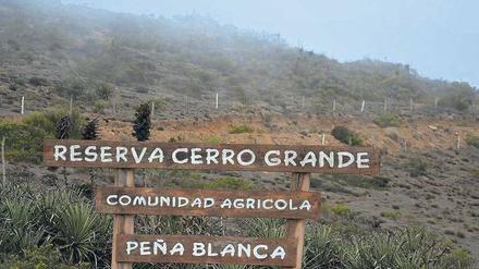 Küstennebel. Das Kondenswasser in der Region rund um La Serena wird vor allem zur Wiederaufforstung und als Viehtränke genutzt, aber auch Bierbrauer profitieren. 