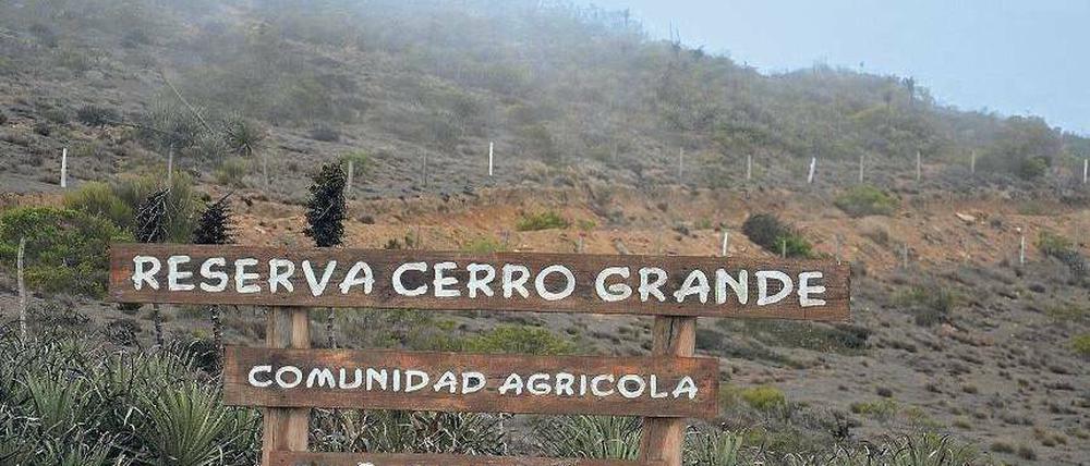 Küstennebel. Das Kondenswasser in der Region rund um La Serena wird vor allem zur Wiederaufforstung und als Viehtränke genutzt, aber auch Bierbrauer profitieren.