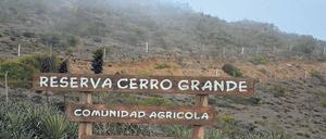 Küstennebel. Das Kondenswasser in der Region rund um La Serena wird vor allem zur Wiederaufforstung und als Viehtränke genutzt, aber auch Bierbrauer profitieren. 