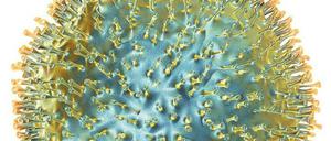 Zweischneidig. Experimente, die Viren wie die Vogelgrippe gefährlicher machen, können sowohl nutzen als auch schaden.