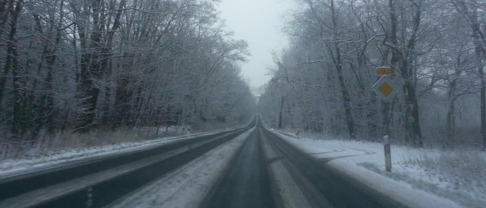 Weihnachten 2014. Es schneit, es schneit, auch hier in Berlin-Spandau. 