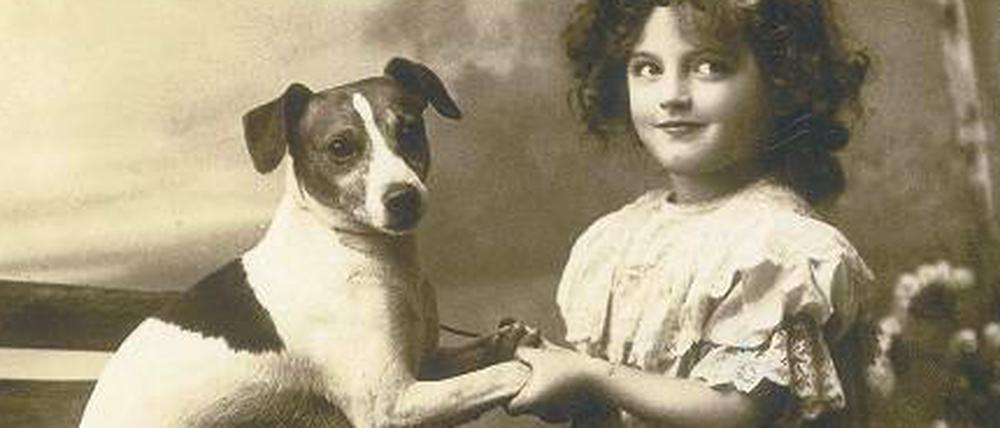 Anno 1914. Jack Russell-Terrier mit Frauchen.