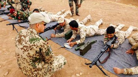 Die Waffenlieferungen an die Kurden im Irak sind umstritten.