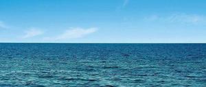 Blick aufs Meer: das sehen die Menschen in Marseille und in Oran. 