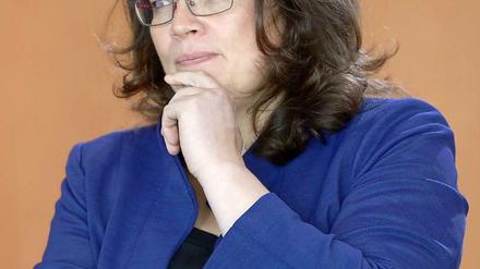 Wird ihr Gesetz vor dem Bundesverfassungsgericht Bestand haben? Andrea Nahles will die Zwerggewerkschaften dazu bringen zu kooperieren.
