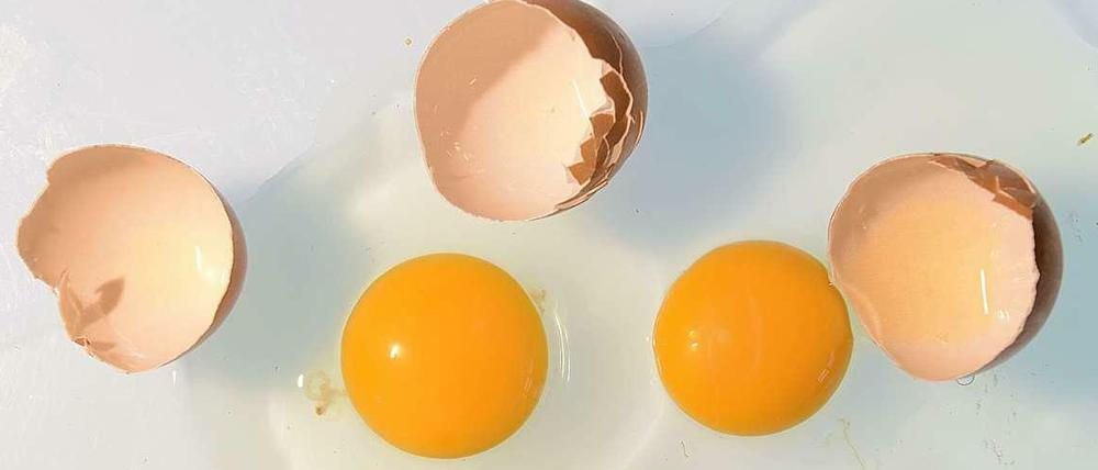 Bislang müssen die Hersteller von Nudeln , Backmischungen oder Schokoladenriegeln nicht angeben, woher die darin enthaltenen Hühnereier stammen.