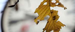 Schluss mit Sommer. In der Nacht auf Sonntag werden die Uhren um eine Stunde zurückgestellt.