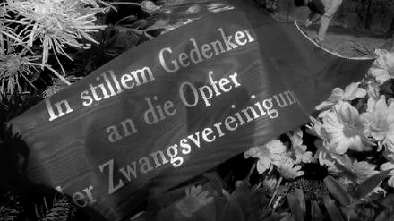 Blick zurück - in Trauer und Zorn.
