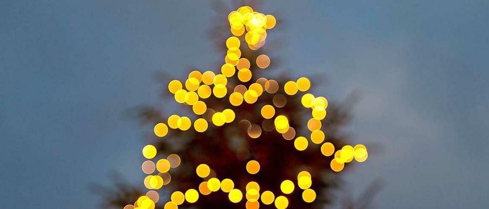 Preußens Glanz. Früher kam der Weihnachtsbaum fürs Abgeordnetenhaus aus Österreich. Jetzt wird er in Berlin gefällt.