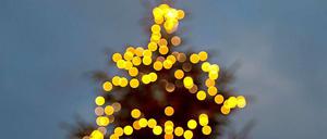 Preußens Glanz. Früher kam der Weihnachtsbaum fürs Abgeordnetenhaus aus Österreich. Jetzt wird er in Berlin gefällt.