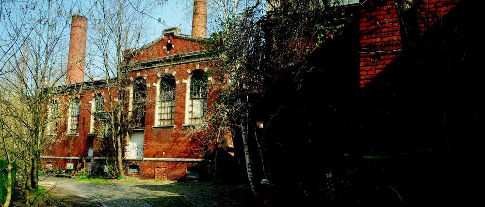Die Ruine der Wiesenburg in Berlin-Wedding. Das stark verfallene Gebäude steht auf einem Privatgelände.