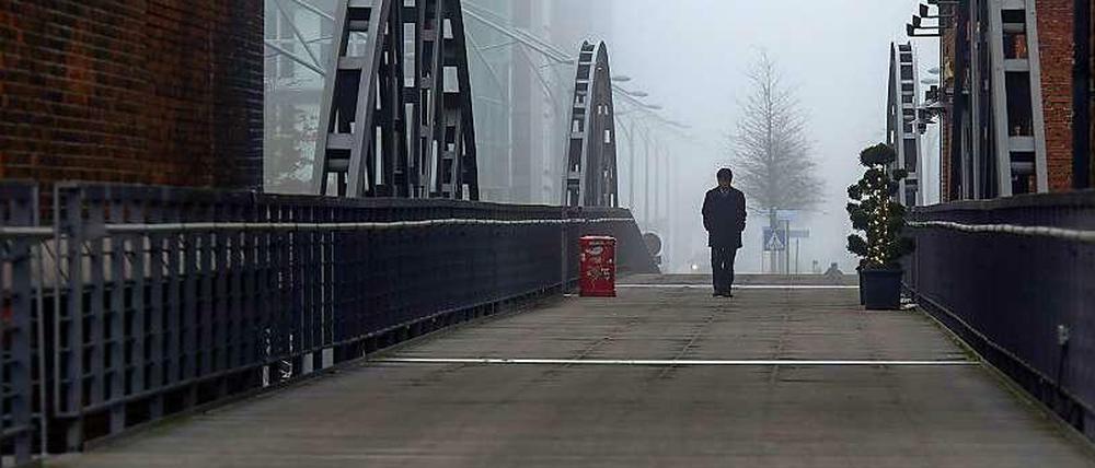 Hamburger Tristesse: sehr hanseatischer "Narrengarten"