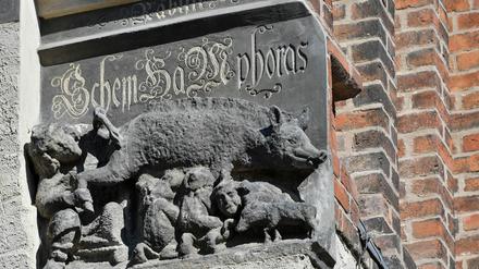 Eine als «Judensau» bezeichnete mittelalterliche Schmähskulptur ist an der Außenwand der Stadtkirche Sankt Marien zu sehen. 