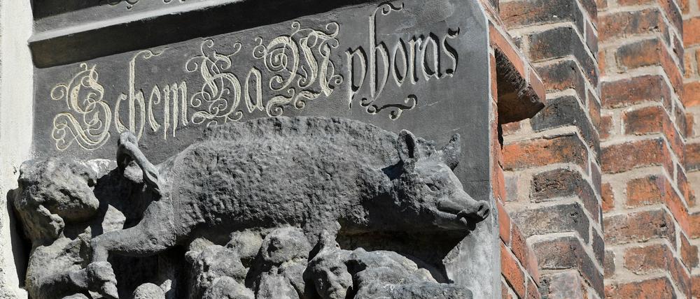 Eine als «Judensau» bezeichnete mittelalterliche Schmähskulptur ist an der Außenwand der Stadtkirche Sankt Marien zu sehen.