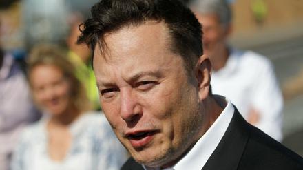 Tesla-Chef Elon Musk