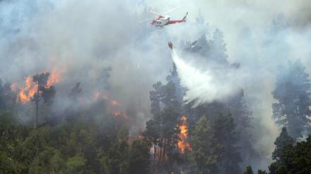 Ein Löschhubschrauber bekämpft einen Großbrand auf der Kanareninsel Teneriffa.