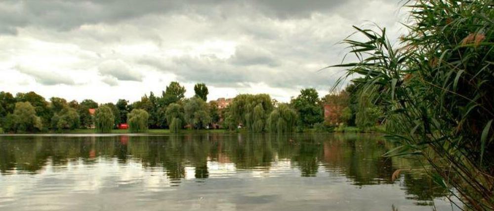 Der Schäfersee in Berlin-Reinickendorf.