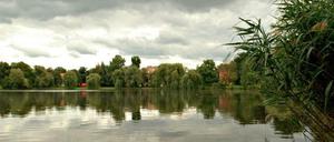 Der Schäfersee in Berlin-Reinickendorf.