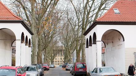 Gartenstadt Tempelhof
