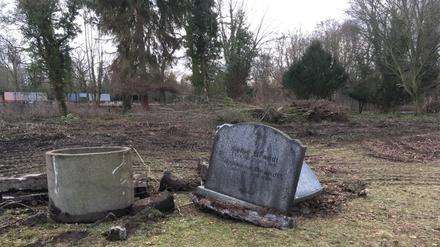 Der Friedhof Pankow VI ist Teil der Schönholzer Heide.