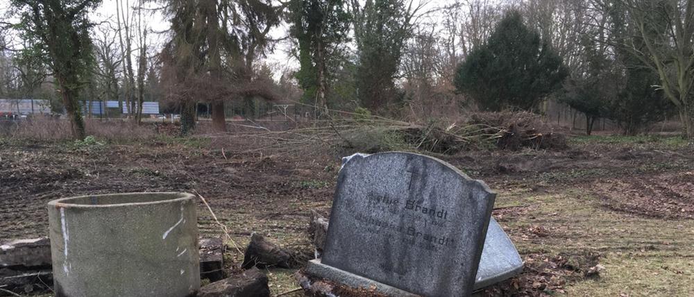 Der Friedhof Pankow VI ist Teil der Schönholzer Heide.