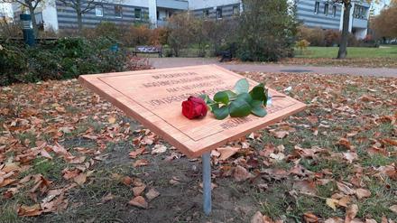 Die Gedenktafel für Ingo Binsch, als sie noch unversehrt war.