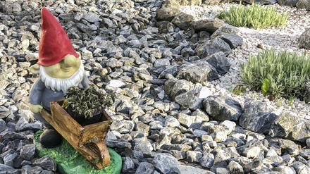 In Berlin gibt es die nur in Ausnahmefällen erlaubten Schottergärten überall. Manche Menschen betrachten sie als modern, ästhetisch und pflegeleicht. Der Nabu hingegen bezeichnet die Steinansammlung als „ökologisch wertlos“.