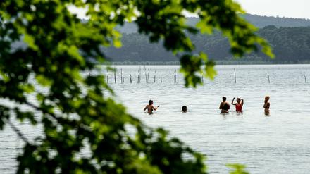 Badegäste erfrischen sich bei strahlendem Sonnenschein im Großen Müggelsee.