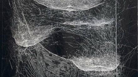 Fein, aber fest wie Stahl. Tomás Saracenos „Work in progress – captured on 15-05-14: Live performance by semi social Cyrtophora citricola, weaving on the Omega Centauri web of solitary Nephila kenianensis“. 