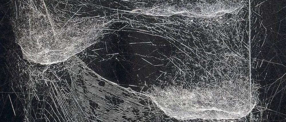 Fein, aber fest wie Stahl. Tomás Saracenos „Work in progress – captured on 15-05-14: Live performance by semi social Cyrtophora citricola, weaving on the Omega Centauri web of solitary Nephila kenianensis“. 