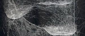 Fein, aber fest wie Stahl. Tomás Saracenos „Work in progress – captured on 15-05-14: Live performance by semi social Cyrtophora citricola, weaving on the Omega Centauri web of solitary Nephila kenianensis“.