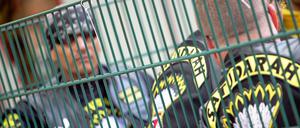 Der Rockerclub Satudarah MC ist in Deutschland ab jetzt verboten.