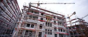 Wohnungsbau in der Hauptstadt. 
