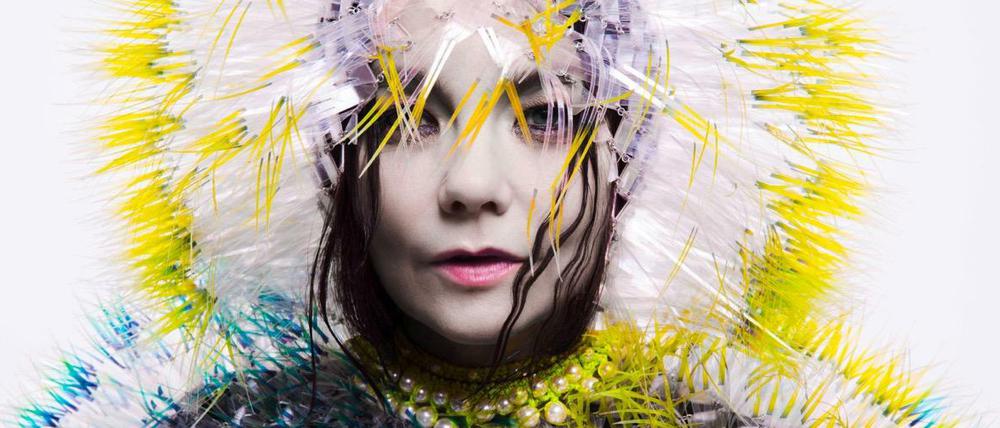 Die isländische Musikerin Björk.