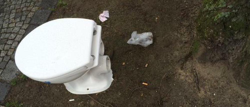 Geschenkt. Toilettenschüssel auf Baumscheibe, noch unversehrt.