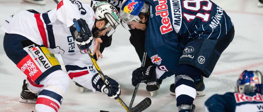 Berlins Darin Olver (l) und Münchens Jonathan Matsumoto im Zweikampf um den Puck. 