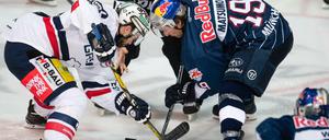 Berlins Darin Olver (l) und Münchens Jonathan Matsumoto im Zweikampf um den Puck. 