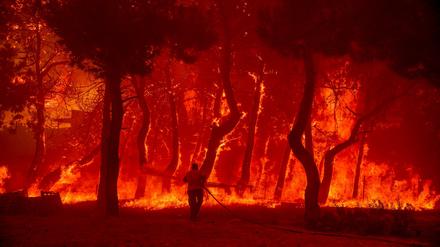 Ein Mann geht mit einem Löschschlauch auf die Flammen eines Waldbrandes auf der Ferieninsel Lesbos zu.