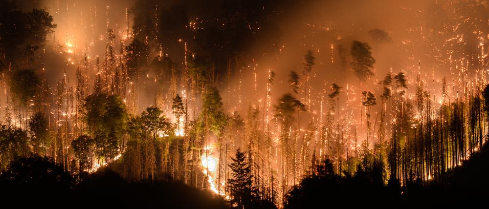 Waldbrand in der sächsischen Schweiz im Jahr 2022.