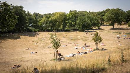 Die vertrocknete Badewiese am Halensee im Sommer 2022.