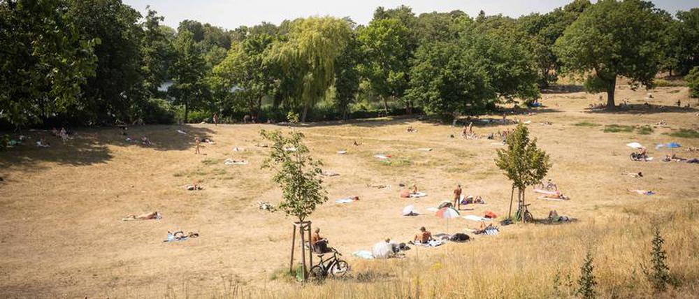Die vertrocknete Badewiese am Halensee im Sommer 2022.