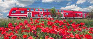 Ein Regionalexpress der Deutschen Bahn fährt in Brandenburg an einem Mohnblumenfeld vorbei. 